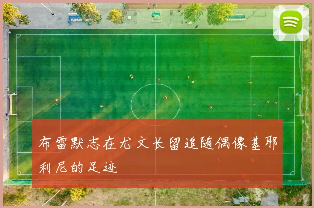 布雷默志在尤文长留追随偶像基耶利尼的足迹